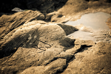 Carved in the rocks