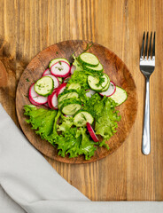 Spring Radish Salad with Cucumber or Simple Rustic Salat