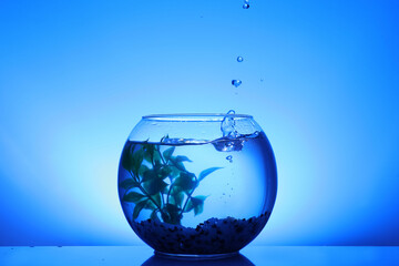 Splash of water in round fish bowl with decorative plant and pebbles on blue background