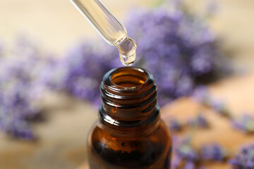 Fototapeta na wymiar Dripping lavender essential oil into bottle, closeup