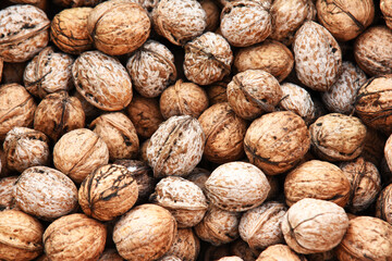 Walnut harvest. Walnuts in the wicker basket