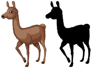 Set of lama cartoon character and