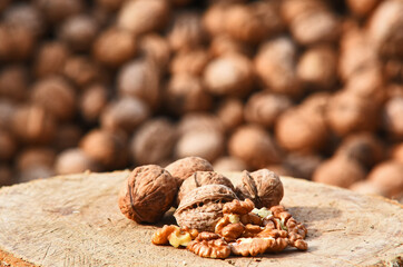 walnuts on a wood log. Harvesting walnuts