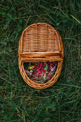 Stock photo of wild raspberries in a basket with flowers and leaves