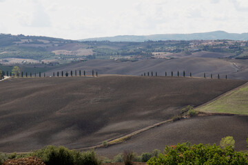 Naklejka premium Paesaggio lunare tipico delle crete senesi