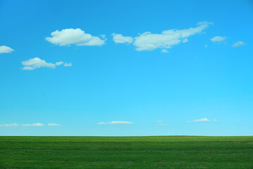 Plakat Beautiful landscape with green grass on sunny day