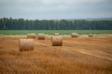 haystack before the rain