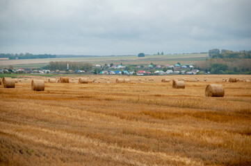 Obraz premium haystack before the rain