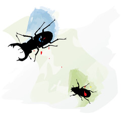 Hand sketched set of two beetles. Insects drawing. Vector illustration