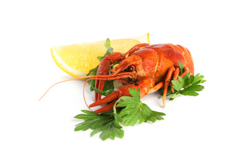 Delicious red boiled crayfish with lemon and parsley isolated on white