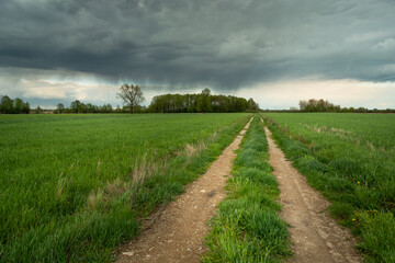A country road in a green field and a rainy cloud