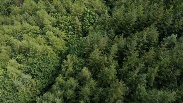 Aerial reveal 4K footage of the Irish border with Northern Ireland, to the left is Warrenpoint(UK) to the right is Carlingford(ROI). This the location for a hard border if no deal happens.