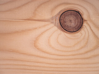 Front view of a wooden board with drawings of the grain forming waves and a large knot in the shape of an eye with its growth rings