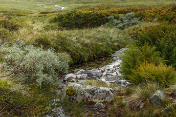 Gräftåvallen. Mountain stream among greenery