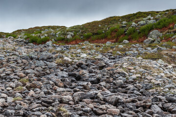 Gräftåvallen. View of a rocky mountain slope