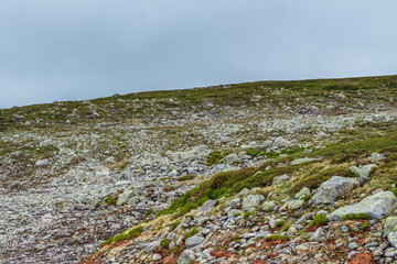 Gräftåvallen. View of a rocky mountain slope