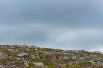 Gräftåvallen. Stones on a green mountain slope