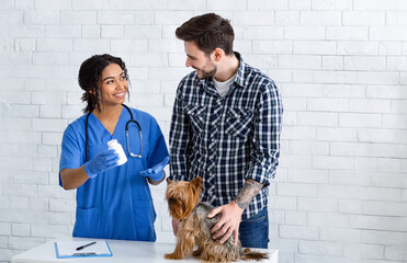 Female veterniary doctor offering pills to cute dog's owner at animal clinic, copy space