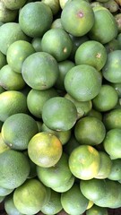 Citrus limetta mousambi sweet lime sweet lemon and sweet limetta picture