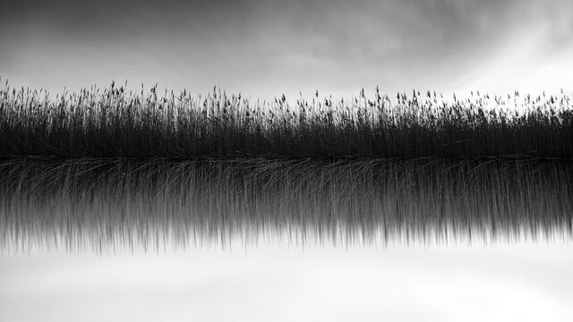 Abstract