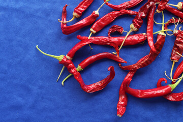 Top down view of dried red hot chili peppers on a bright blue background. Natural food ingredient in close up with copyspace to left.