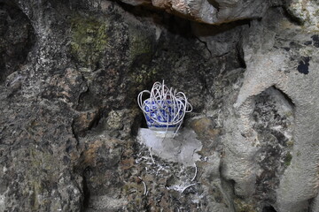 Burnt Incense Sticks on Small Ledge, Thousand Step Cave, Mai Chau, Vietnam