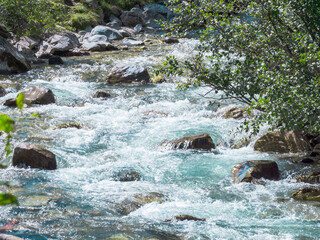 Joli torrent