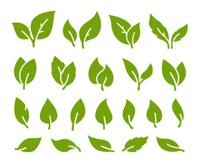 Set of green leaf for symbols, logo, on white background, Vector illustration.