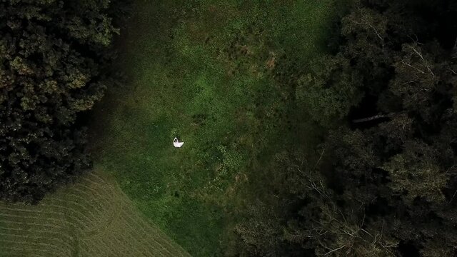 Bride and groom walk on green grass frame from the air