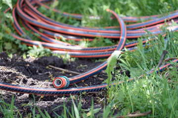 Thick hose to water the garden in sunny weather from drought.