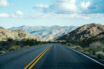 Joshua Tree