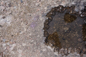 concrete base with a recess filled with water