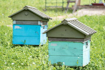 Wooden houses for breeding bees in apiary in mountains.