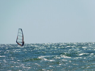 windsurfer in the sea