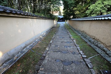 早朝の奈良公園