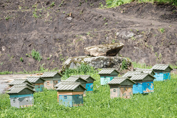 Wooden houses for breeding bees in apiary in mountains.