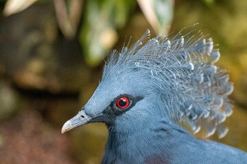 Tropical bird in butterfly center