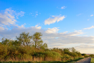 Fototapeta premium Blue sky with floating white clouds. The background.