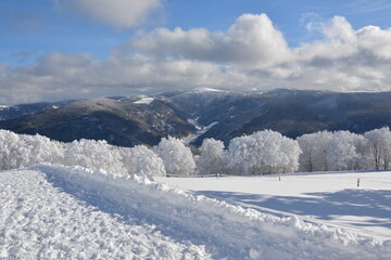 Fototapeta premium Schwarzwald im Winter