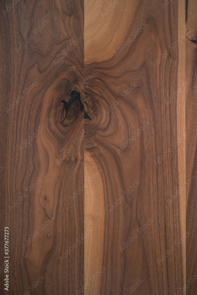 Wall mural texture of black walnut wood with some sapwood - Wall murals
