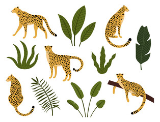 Obraz premium Collection of silhouette leopards, exotic leaves, tropical plants and palm tree isolated on light background. Bundle of wild African feline animals. Hand drawn vector illustration.
