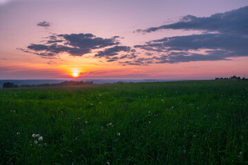 sunset over the field