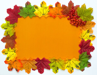 Naklejka na ściany i meble Frame made of colorful autumn leaves and rowanberry around copy space. Autumn and craftwork concept.