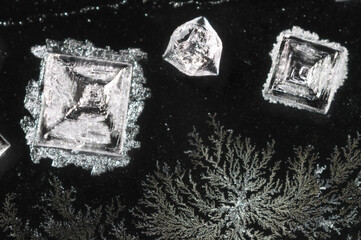 塩の結晶　塩化ナトリウム　顕微鏡写真