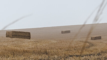 hay bales on the field
