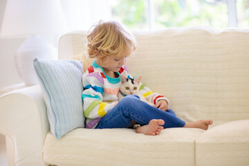 Child playing with cat. Kid and kitten.