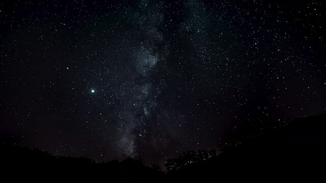 The Milky Way is moving in the night sky over the silhouettes of trees. Timelapse.
