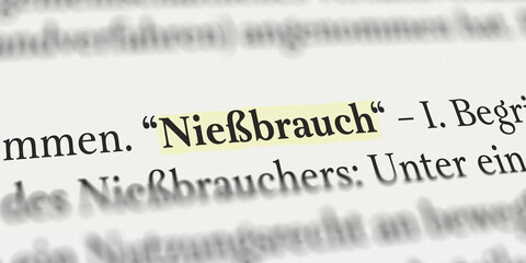 Nie&szlig;brauch im Buch mit Textmarker markiert