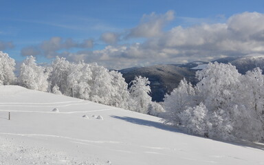 Winter im Schwarzwald