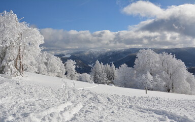 Winter im Schwarzwald